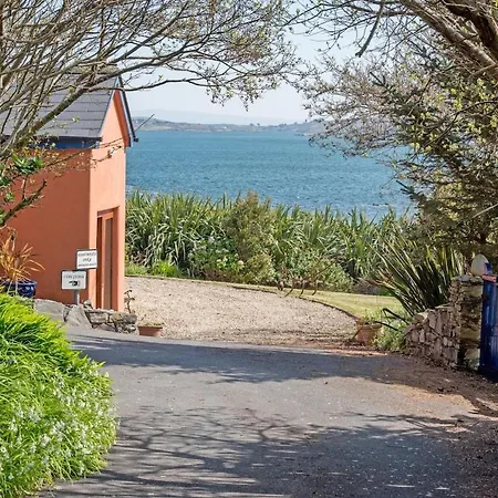 Dolphin - * Clifden